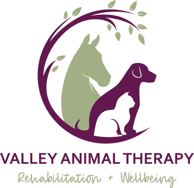 Valley Animal Therapy logo